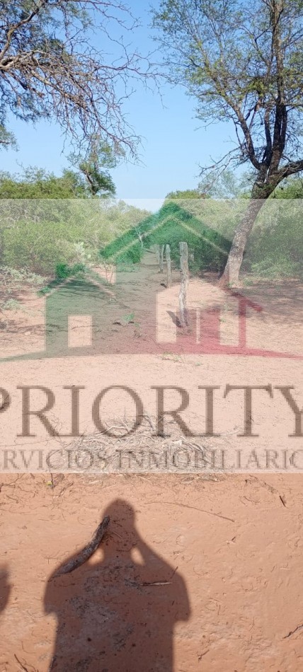 Finca en Quebrachal 230 HA