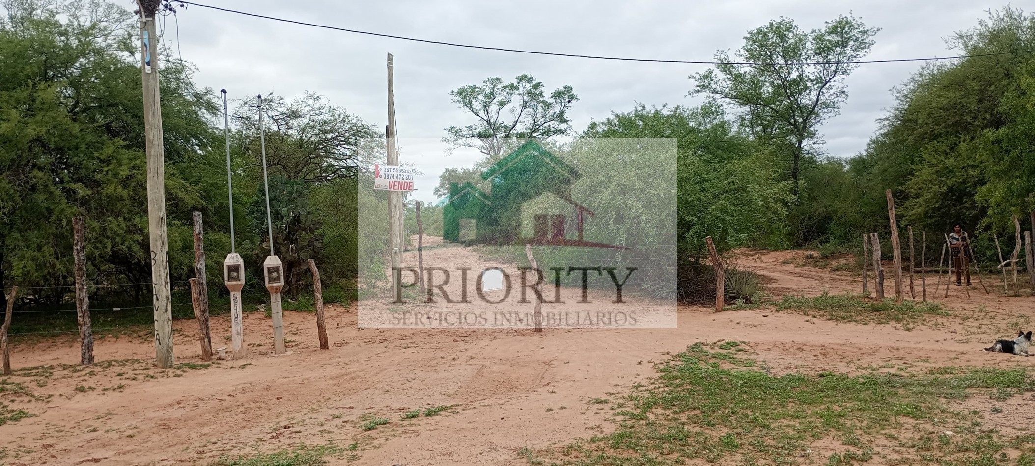 Finca en Quebrachal 230 HA